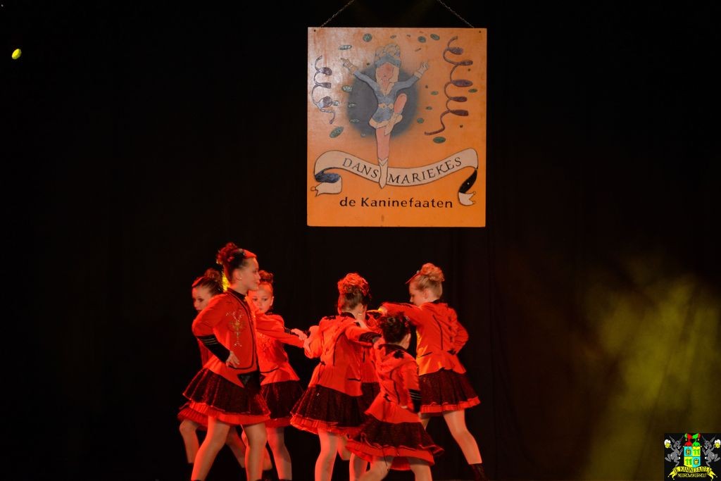 ../Images/Dansmarieke festival 2018 158.jpg